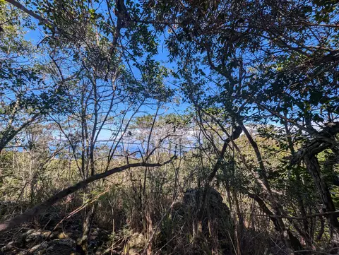 Lehua Ave, Captain Cook, HI 96704