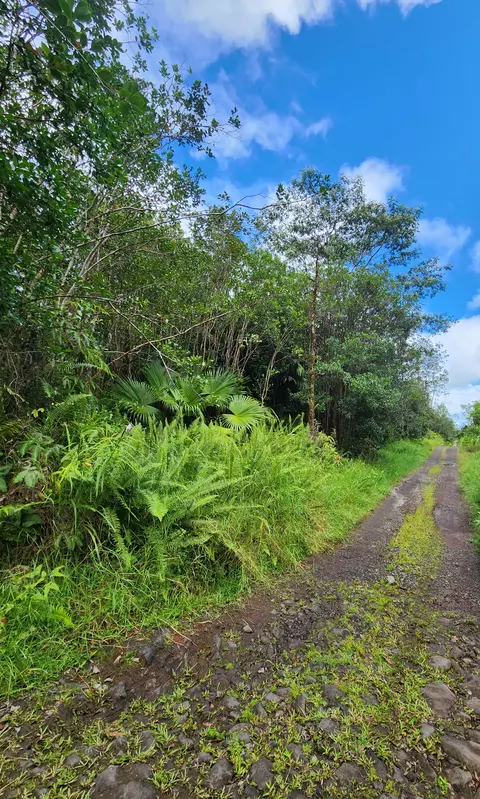 Road 9, Mountain View, HI 96760