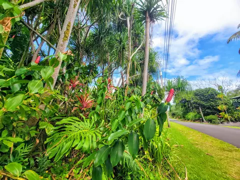 Papai St, Pahoa, HI 96778
