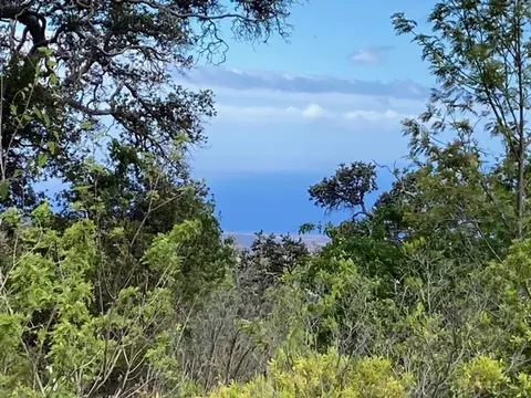 Walaka Dr, Ocean View, HI 96737