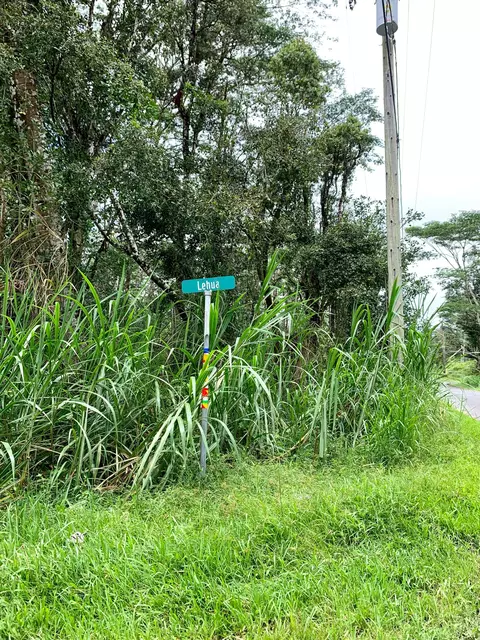 Lehua Rd, Pahoa, HI 96778
