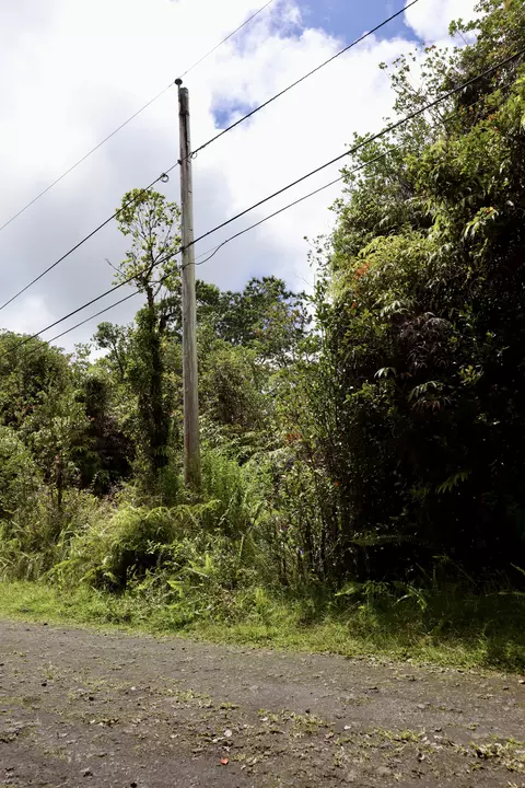 Mountain View Pl, Mountain View, HI 96771