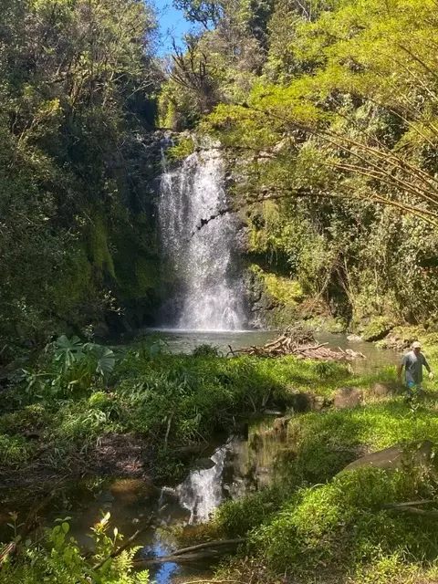 32-473 Wailele Rd, Papaaloa, HI 96780