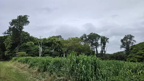 Undisclosed, Pahala, HI 96777