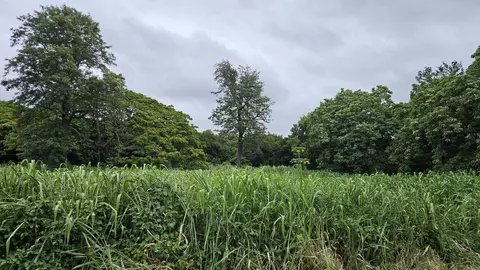 Undisclosed, Pahala, HI 96777