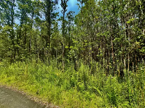 Road 2, Mountain View, HI 96760