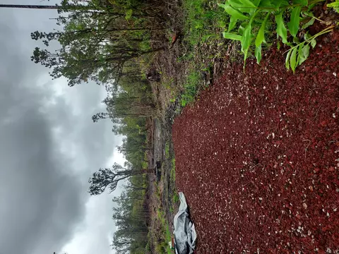 11-2711 Palainui Ave, Mountain View, HI 96771