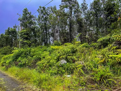 11-2687 Lelehuna Rd, Volcano, HI 96785