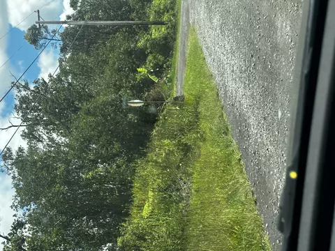 Jungle King Ave, Volcano, HI 96785