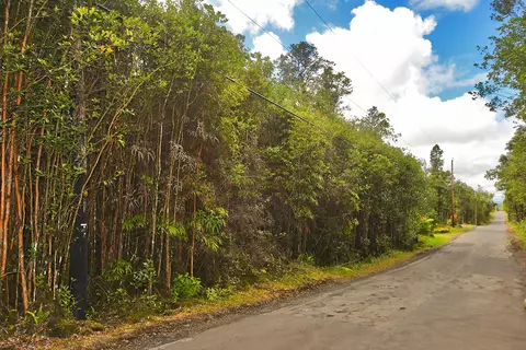 Hibiscus St, Mountain View, HI 96771