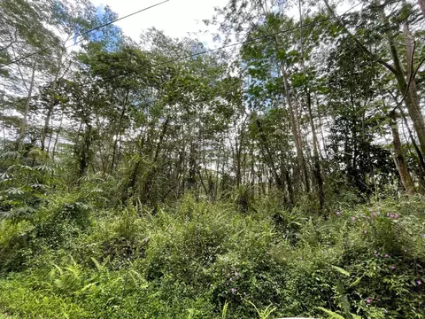 Pikake Rd, Pahoa, HI 96778