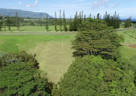 3693 Kuula Pl, Kilauea, HI 96754