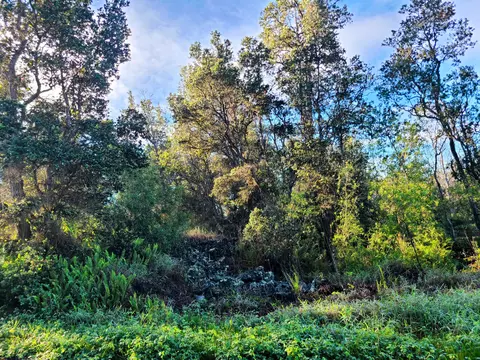 Hukilau Dr, Ocean View, HI 96737