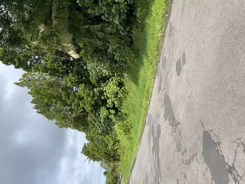 Pohaku Dr, Kurtistown, HI 96760