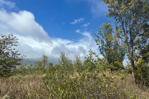 Prince Kuhio Blvd, Ocean View, HI 96737