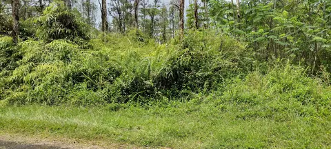 Shell Rd, Pahoa, HI 96778