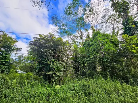 Hawaii Rd, Pahoa, HI 96778