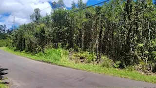 Plumeria St, Mountain View, HI 96771