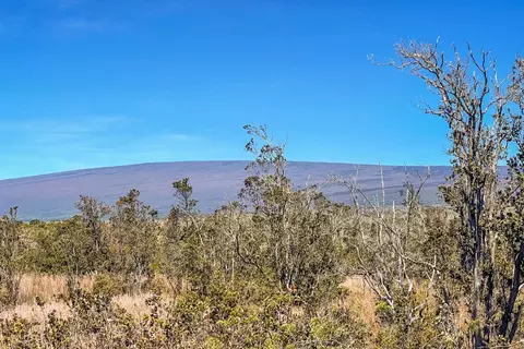 99-7813 Kanaio Pl, Hawaiian Natl Park, HI 96718