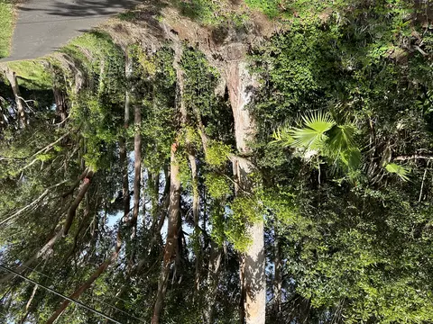Kaapahu Rd, Honokaa, HI 96727