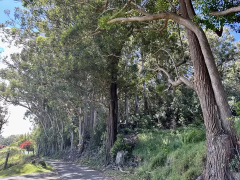 Kaapahu Rd, Honokaa, HI 96727