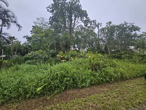 Bamboo Dr, Pahoa, HI 96778