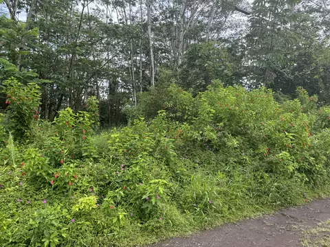 King Kamehameha Blvd, Kurtistown, HI 96760