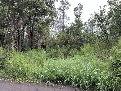 Road 1, Mountain View, HI 96760