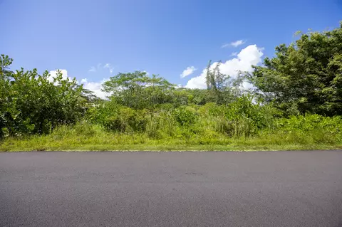1 St Rd, Keaau, HI 96749