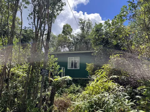 11-2695 Lehua St, Mountain View, HI 96771