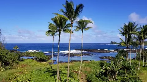 1911 Kalanianaole St #PH7, Hilo, HI 96720