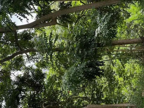 Kaloko Dr, Kailua Kona, HI 96740