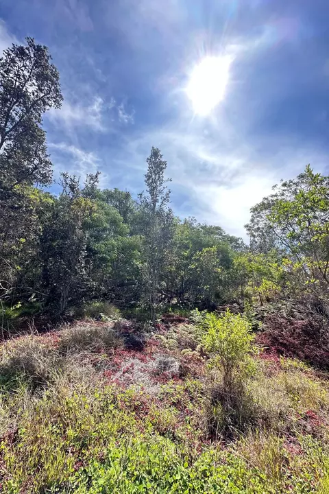 Koa Ln, Ocean View, HI 96737