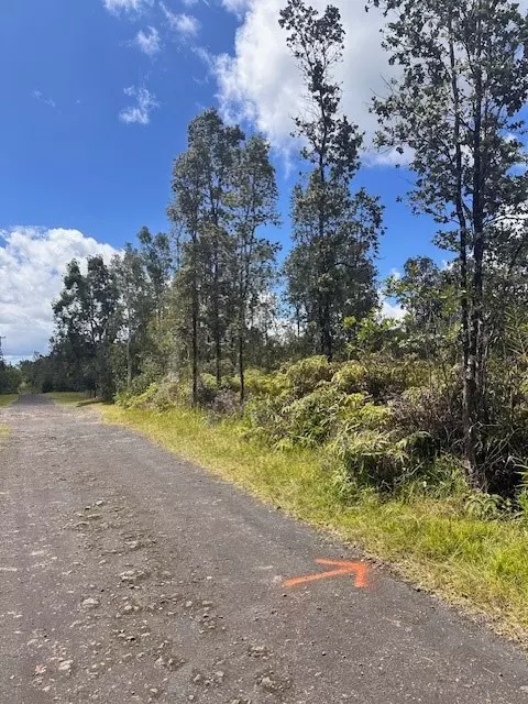 16-1176 Poouli Rd, Kurtistown, HI 96760