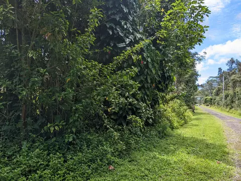 Pahoa Rd, Pahoa, HI 96778