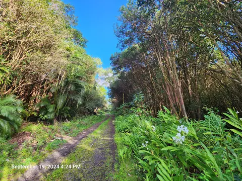 12-556 Molokai St, Pahoa, HI 96778