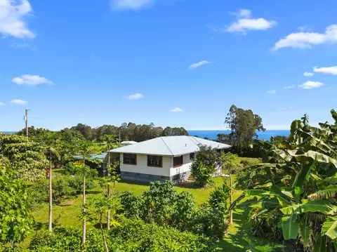 29-421 Chin Chuck Rd, Hakalau, HI 96710