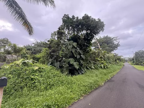 Opakapaka St, Pahoa, HI 96778