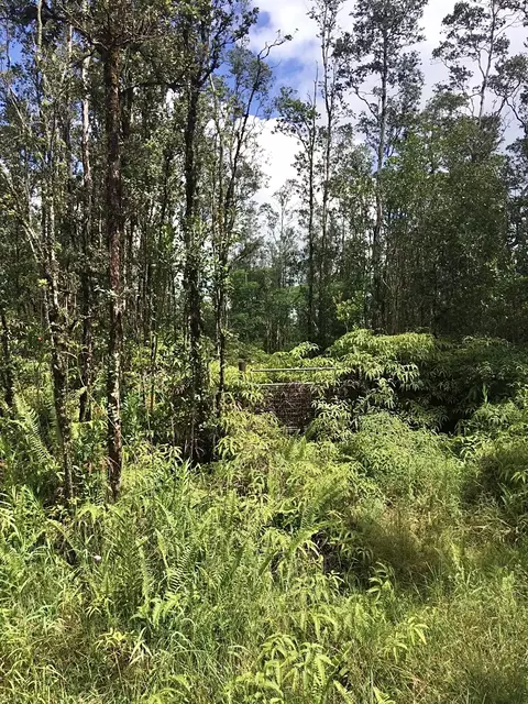 Road 3, Mountain View, HI 96760