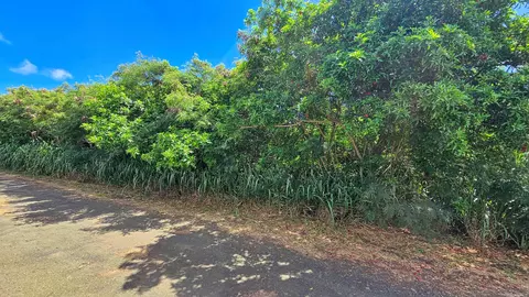 Mark Twain St, Naalehu, HI 96772