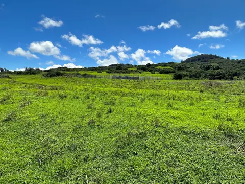 56-3221 Puu Mamo Dr, Hawi, HI 96719