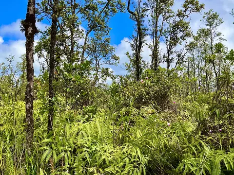 Road 4, Mountain View, HI 96760