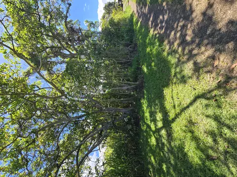 Undisclosed, Kealakekua, HI 96750