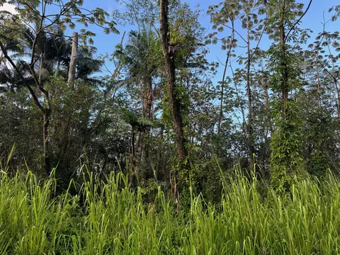Molokai Rd, Pahoa, HI 96778