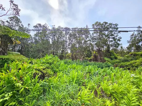 Volcano Rd, Volcano, HI 96785