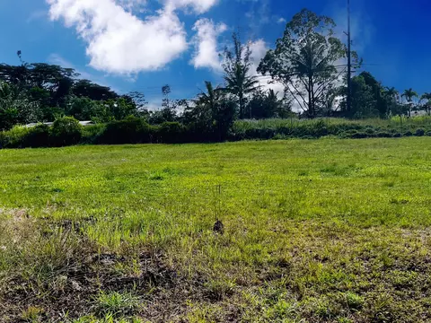 15-1864 33rd Ave, Keaau, HI 96749