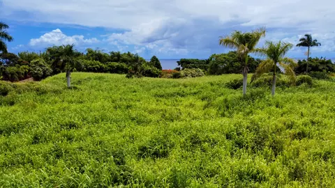 31-154 Hawaii Belt Rd, Ninole, HI 96773