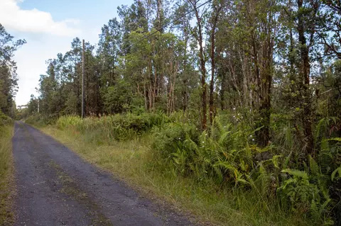 11-1775 Wailele St, Mountain View, HI 96771