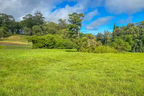 43-1947 Olina Pl, Honokaa, HI 96727
