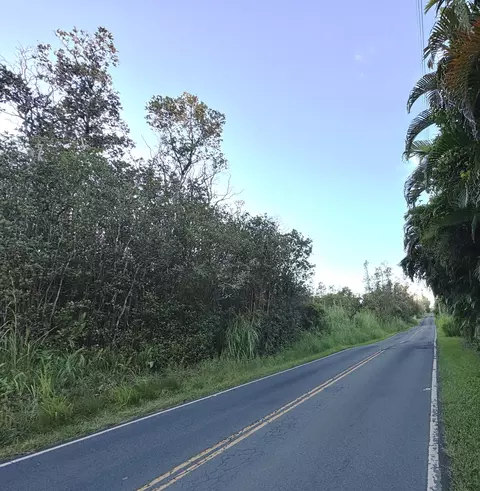 Road 8, Mountain View, HI 96760